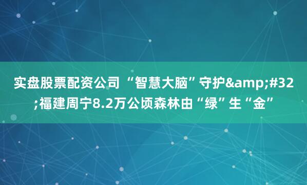 实盘股票配资公司 “智慧大脑”守护&#32;福建周宁8.2万公顷森林由“绿”生“金”