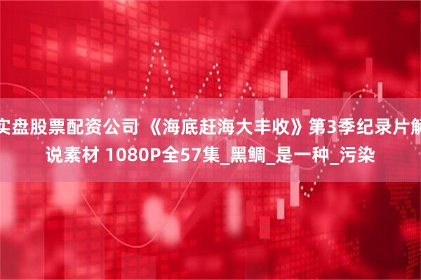 实盘股票配资公司 《海底赶海大丰收》第3季纪录片解说素材 1080P全57集_黑鲷_是一种_污染