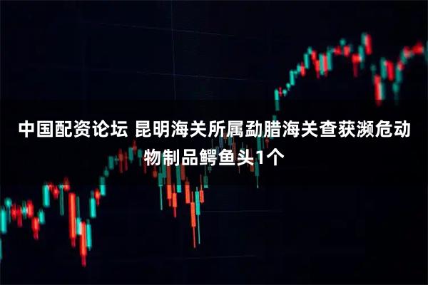 中国配资论坛 昆明海关所属勐腊海关查获濒危动物制品鳄鱼头1个